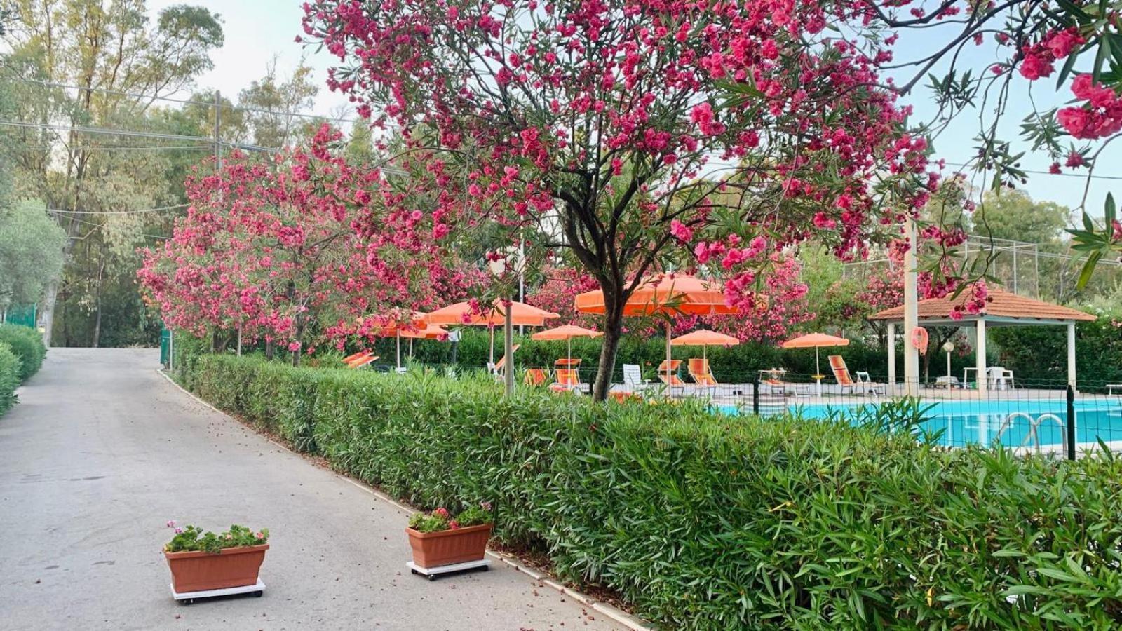 Viola Club Village & Camping Foce Varano Exterior photo