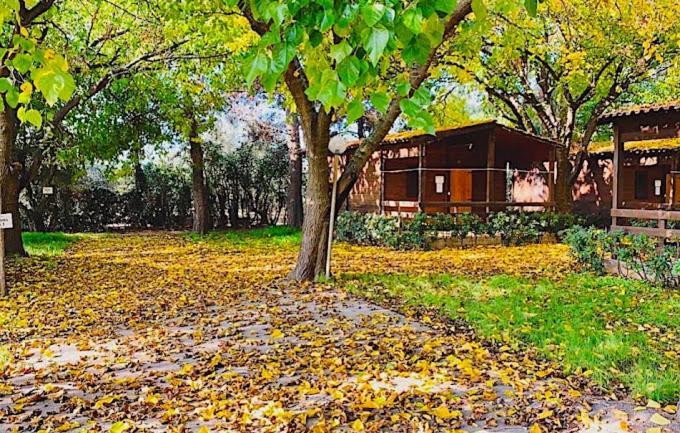 Viola Club Village & Camping Foce Varano Exterior photo